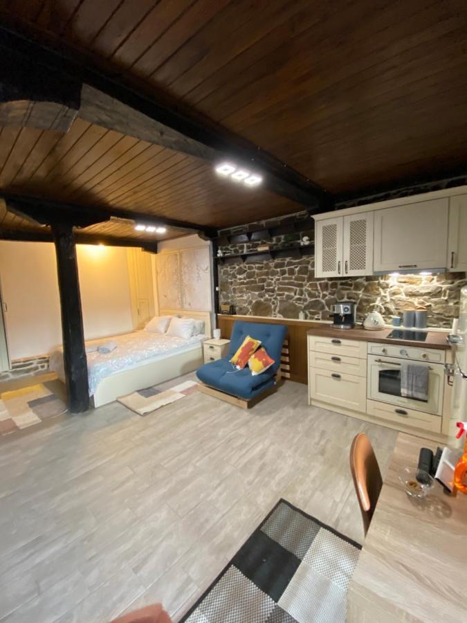Villa Studio Spring à Veliko Tarnovo Extérieur photo