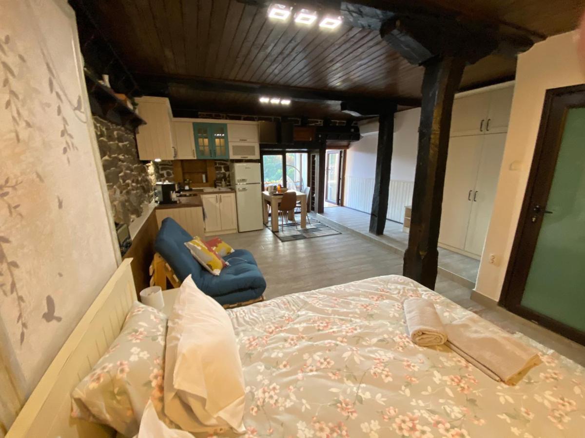 Villa Studio Spring à Veliko Tarnovo Extérieur photo